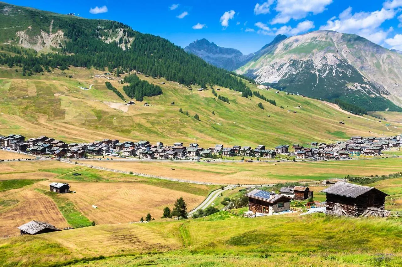 Apartment Chalet Menin - Happy Rentals Livigno Italy